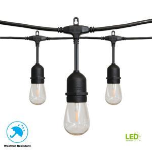 24 ft. 12-Light Filament LED String Light