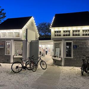 bicycle rental for a full day of exploring the Cape