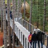 Dow Gardens Canopy Walk