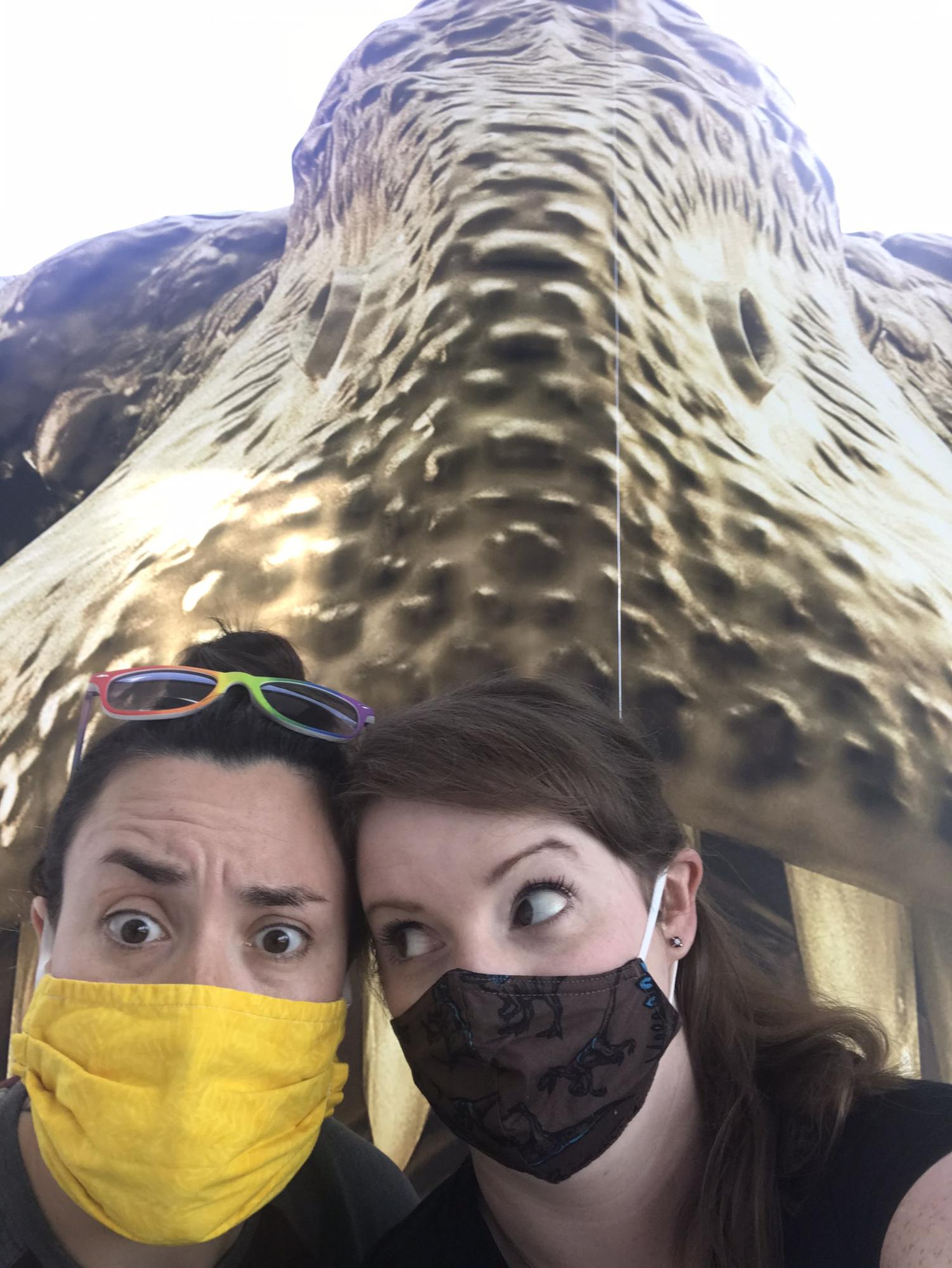 Perot dinosaur exhibit; spring 2021.