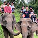 Elephant Riding in Chiang Mai
