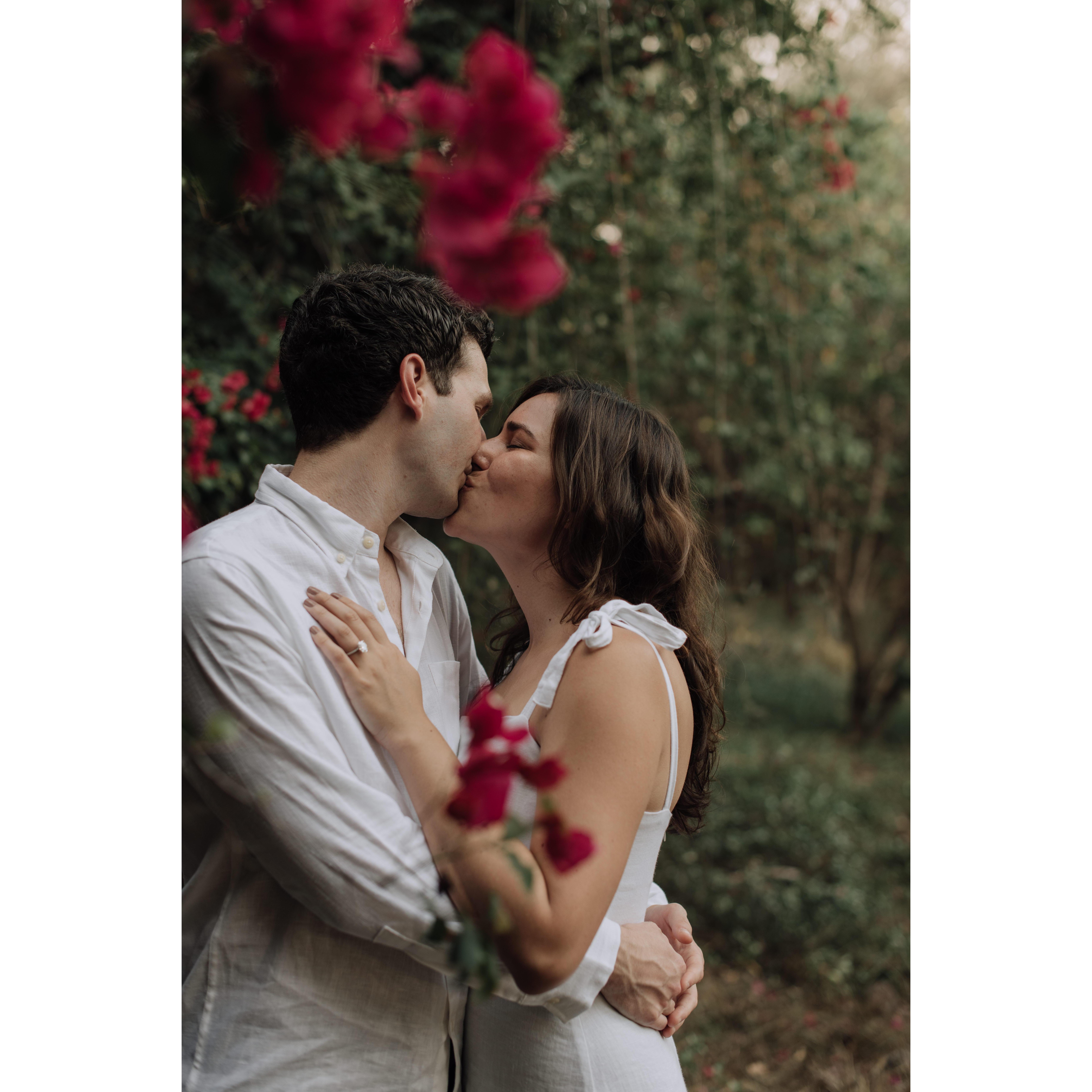Engagement | Hawaii, Dec 2019