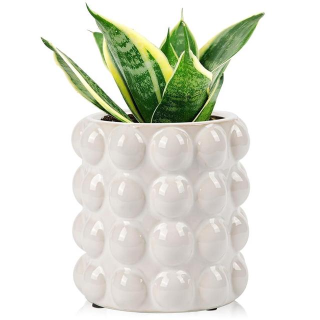 DILATATA 5 Inch Ceramic Planter Pot for Indoor Succulent Plants - Off-White Hobnail Bubble Flower Planter