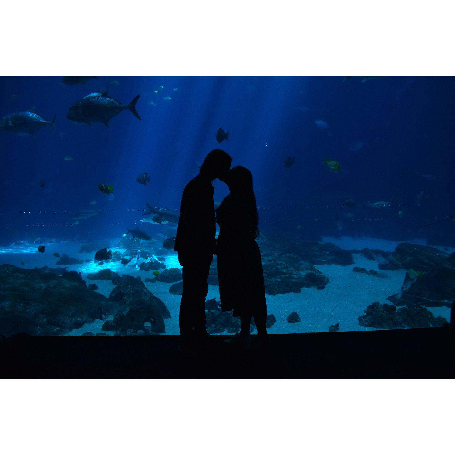"Today was a fairytale."
