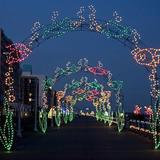 Holiday Lights at the Beach