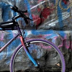 Bike Rental