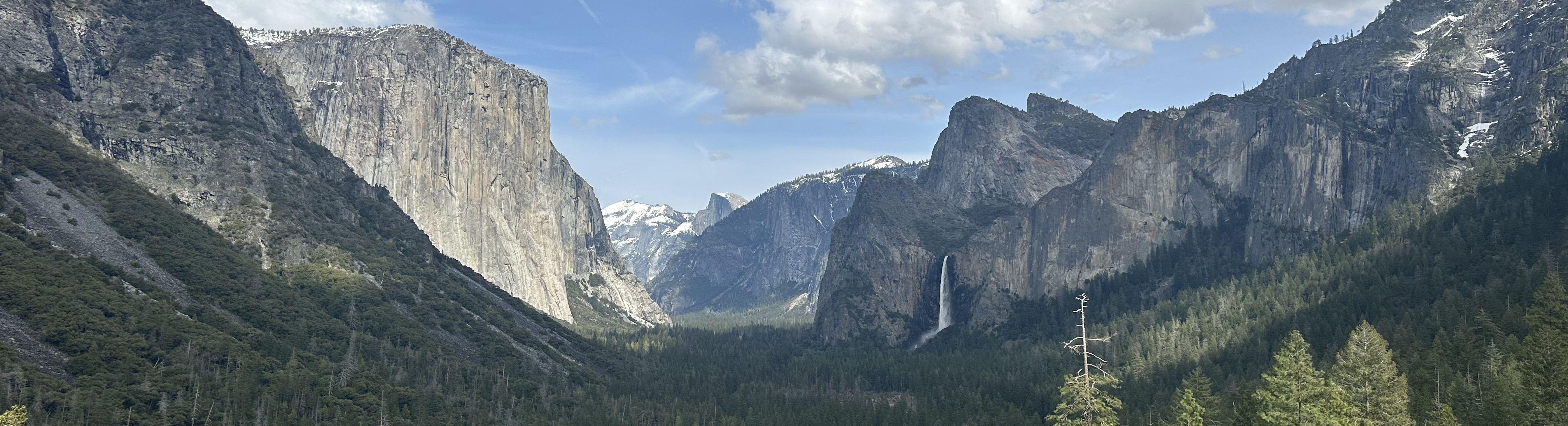 The Wedding Website of Trina Nuñez and Bob Meyers