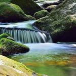 Enders State Forest