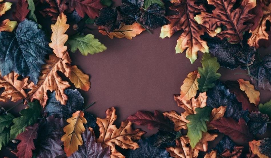 The Wedding Website of Autumn Bell and Nick Kubas