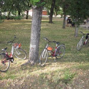 Bike Rentals in Lucca
