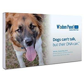Wisdom Panel 3.0 Breed Identification DNA Test Kit