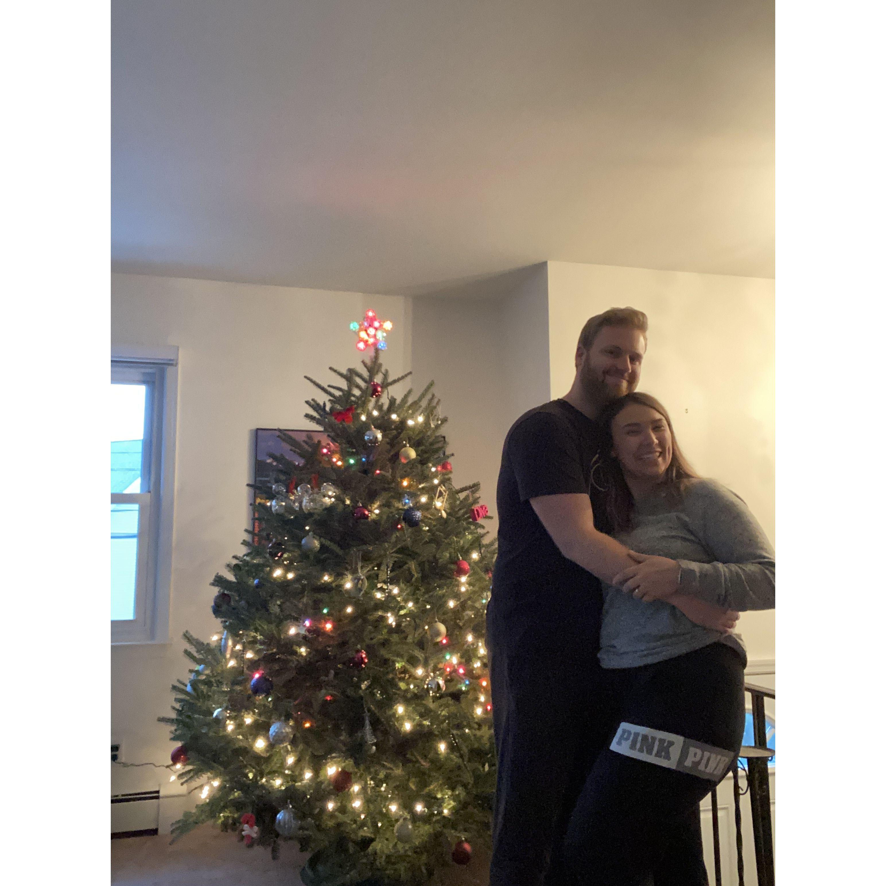 Decorated Christmas tree!