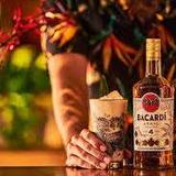 Casa Bacardi (Booze!)