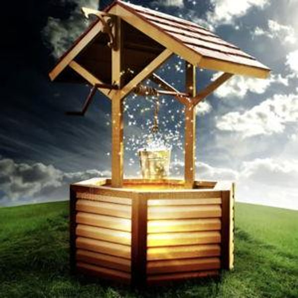 Wishing Well Future Fund