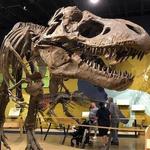 Cleveland Museum of Natural History