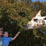 Naples Zoo at Caribbean Gardens
