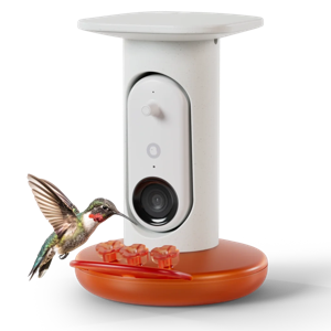 Smart Hummingbird Feeder