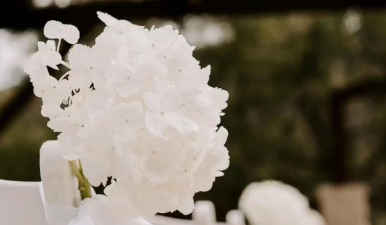 The Wedding Website of Christina Todd and Michael Miller