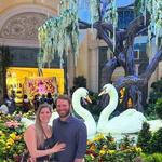 Bellagio Conservatory & Botanical Gardens