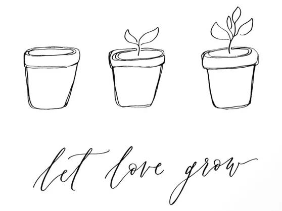 The Wedding Website of Brianna Landazuri and Taylor Barrera