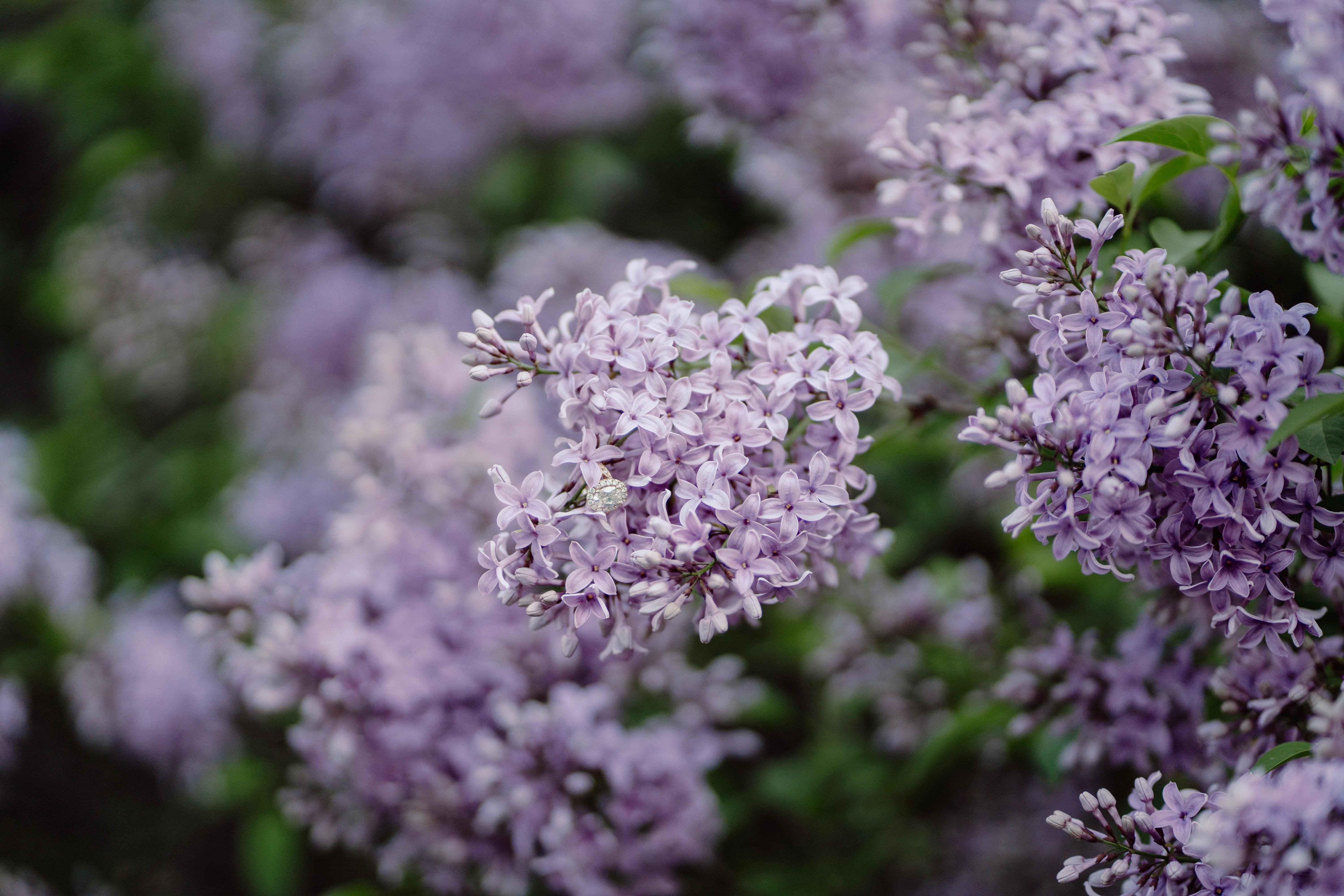 The Wedding Website of Sloane Carr and Travis Matthews