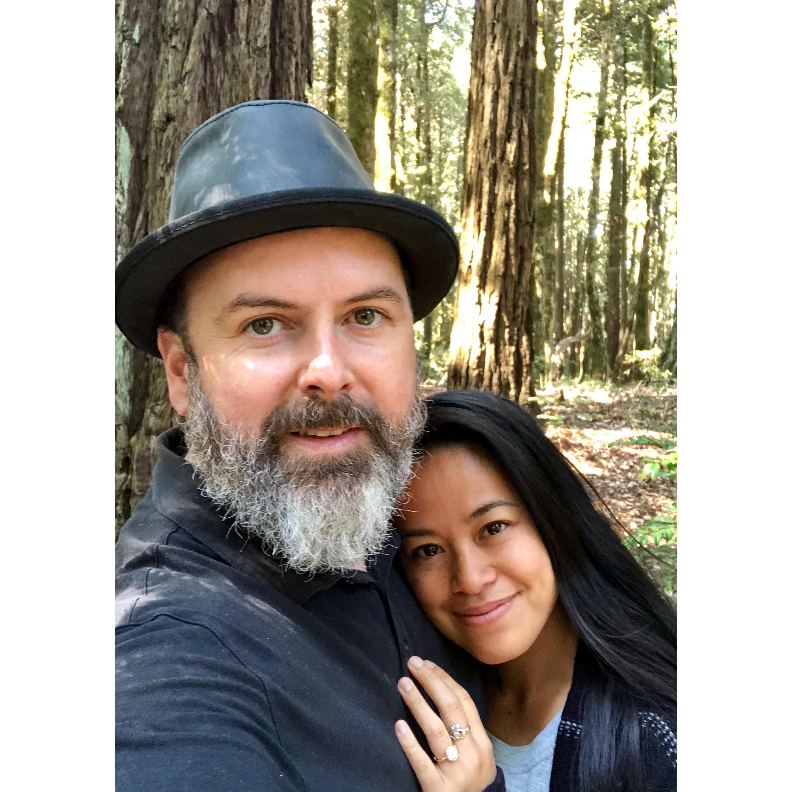 we're happy among the trees
