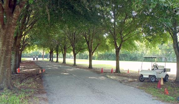 The Wedding Website of Cara Lucas and Matthew Schaffer