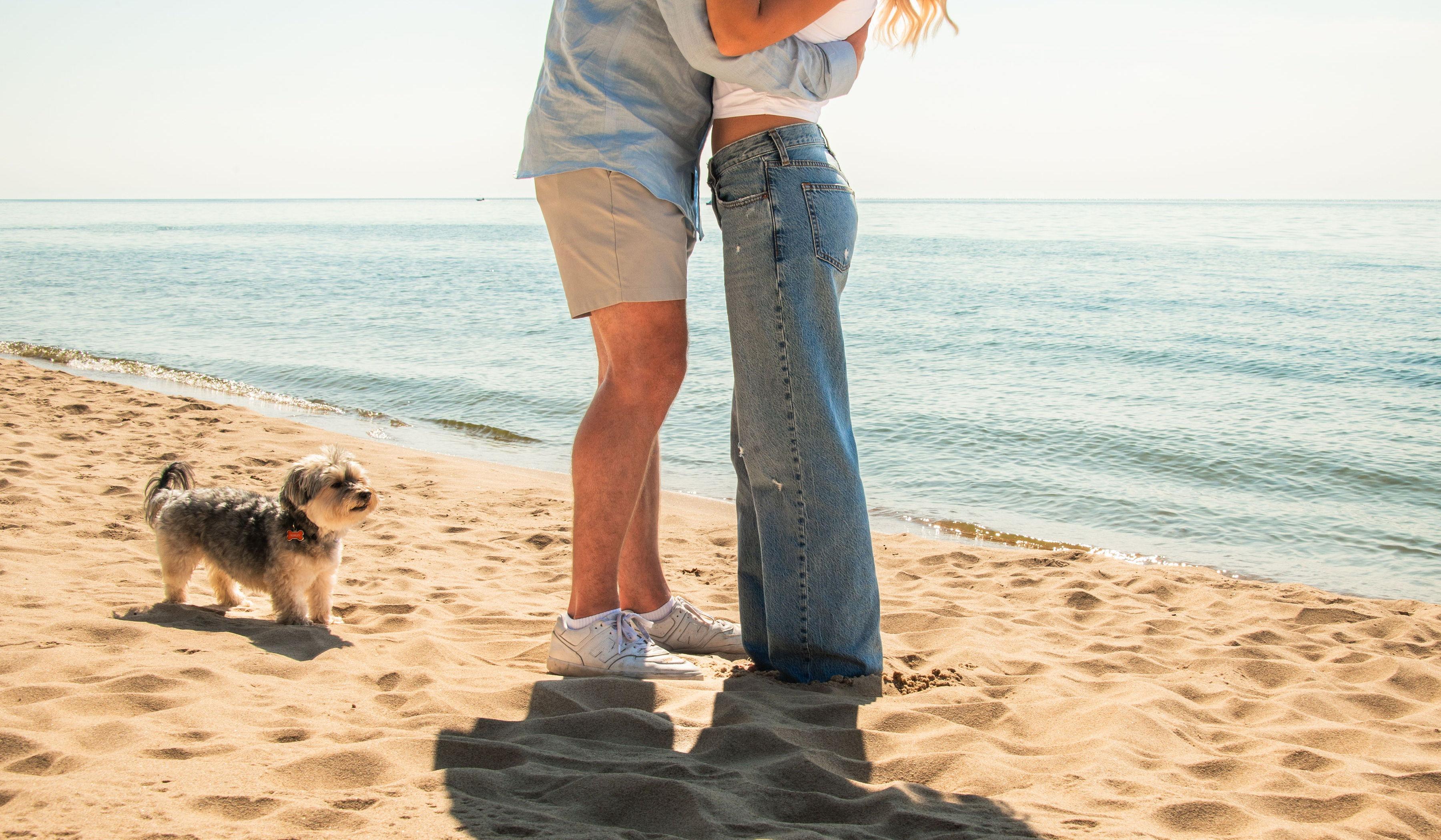 Footer image