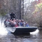 Wild Bill's Airboat Tours