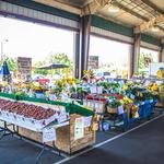 North Carolina State Farmer's Market