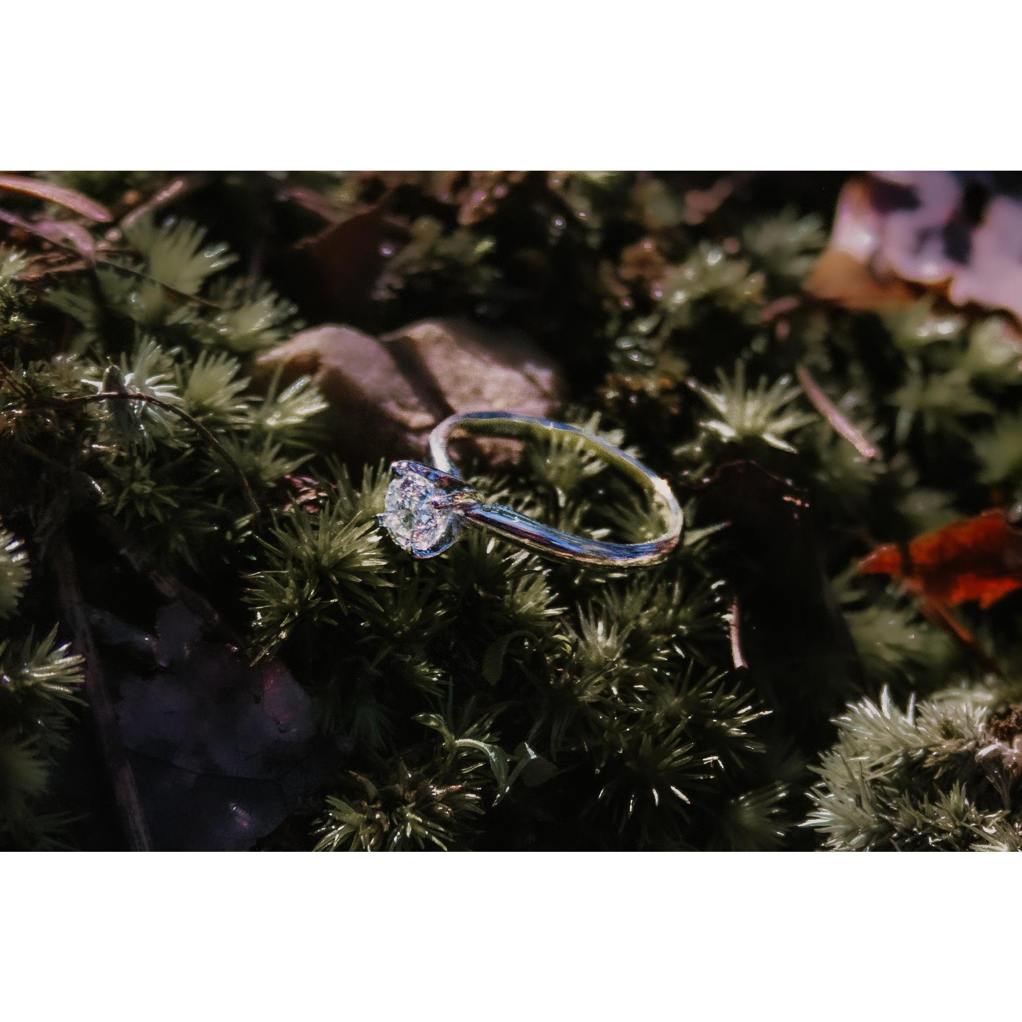 The ring! (Emily wanted something simple, so naturally Clark spent three hours picking out the perfect diamond... He is the best.)