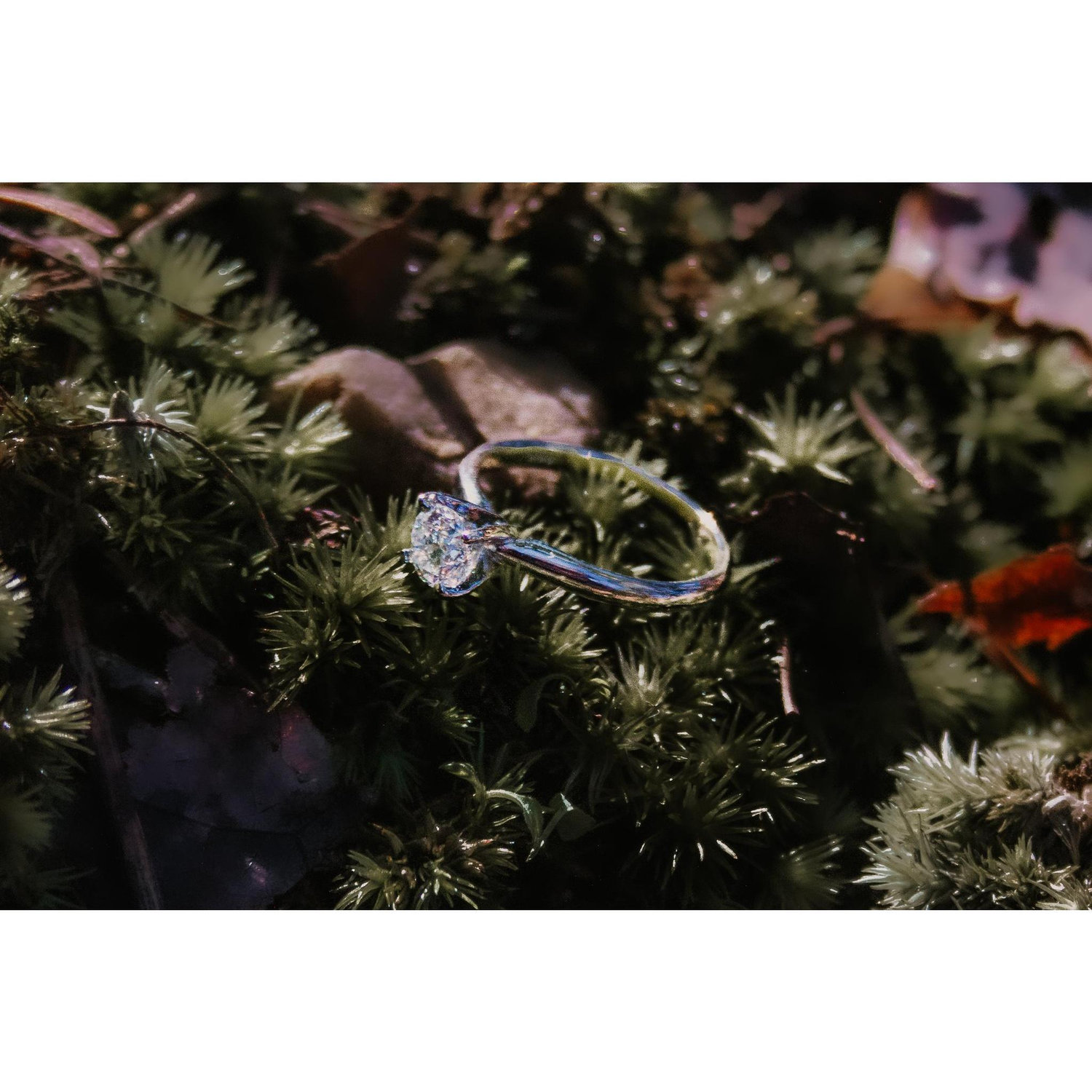 The ring! (Emily wanted something simple, so naturally Clark spent three hours picking out the perfect diamond... He is the best.)