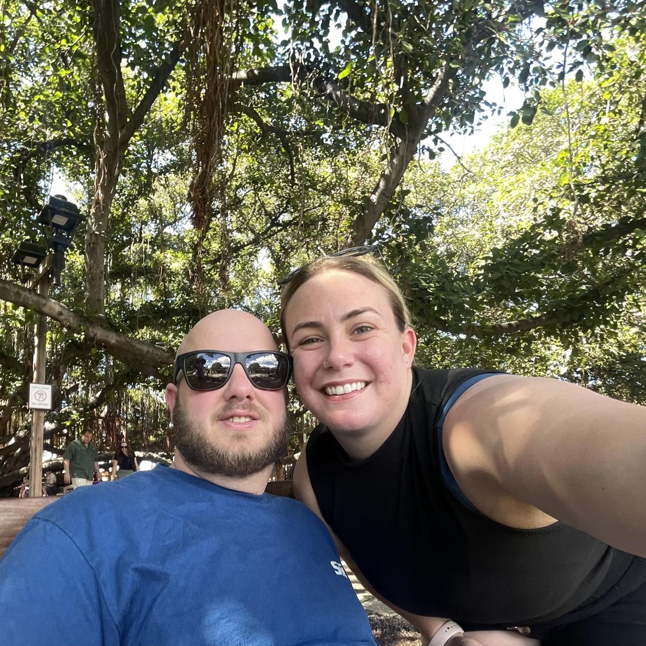 The famed Banyan tree in Lahaina, Maui