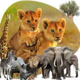 ZooSafari