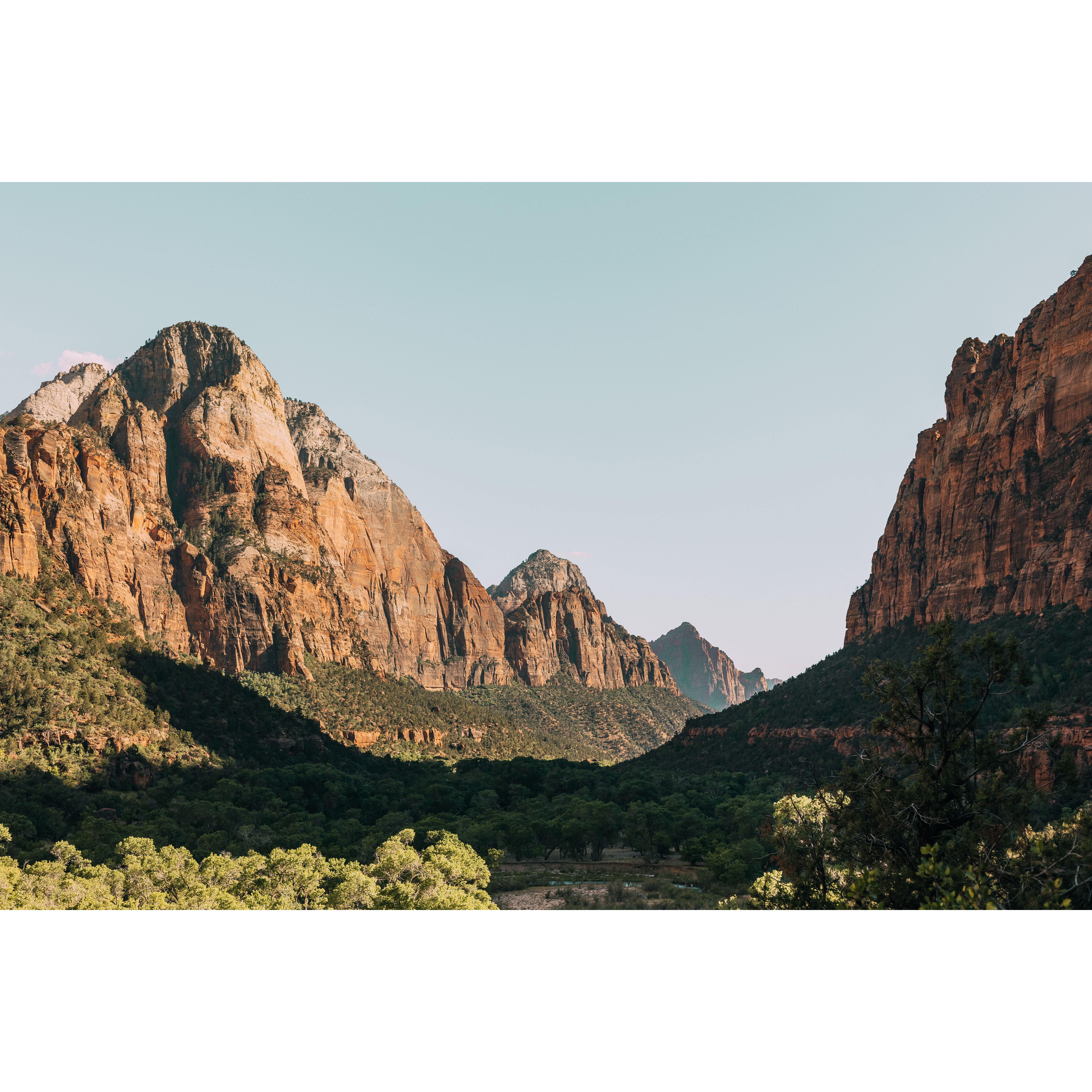 We visited Zion with some friends in May!