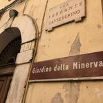 The Garden of Minerva