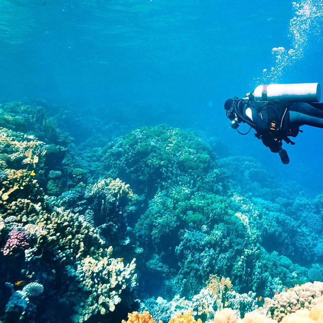 Scuba diving in Bali