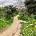 Stocker Corridor Trail