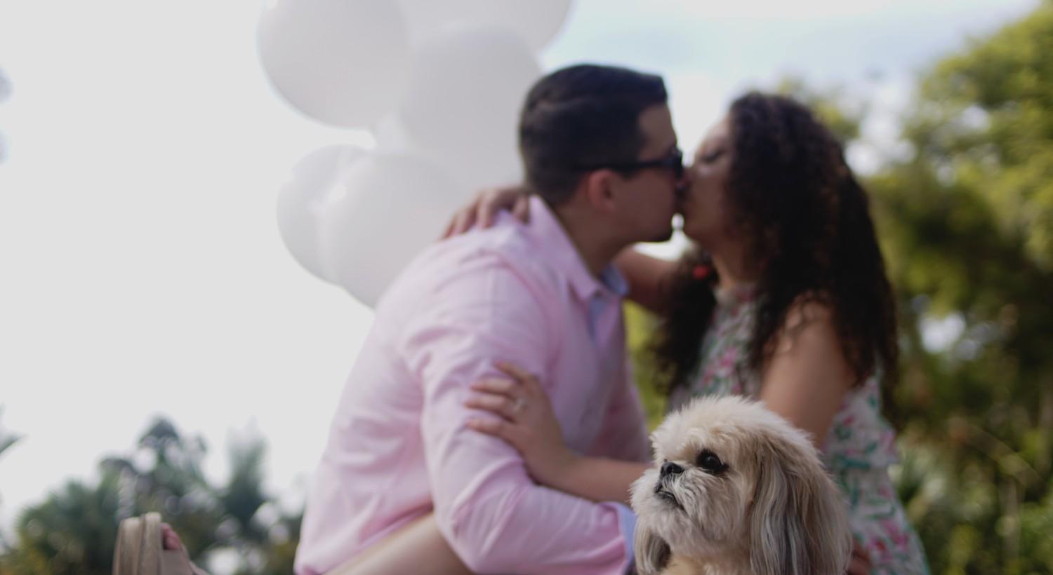 The Wedding Website of Ada Green and Kyle Kay