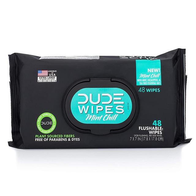 DUDE Wipes Flushable Wet Wipes Dispenser Mint Chill 48Count - Scented Wet Wipes with Vitamin-E Aloe Eucalyptus & Tea Tree Oils for at-Home Use Septic & Sewer Safe Pack of 1