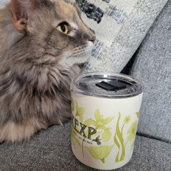 Become a Member of KEXP