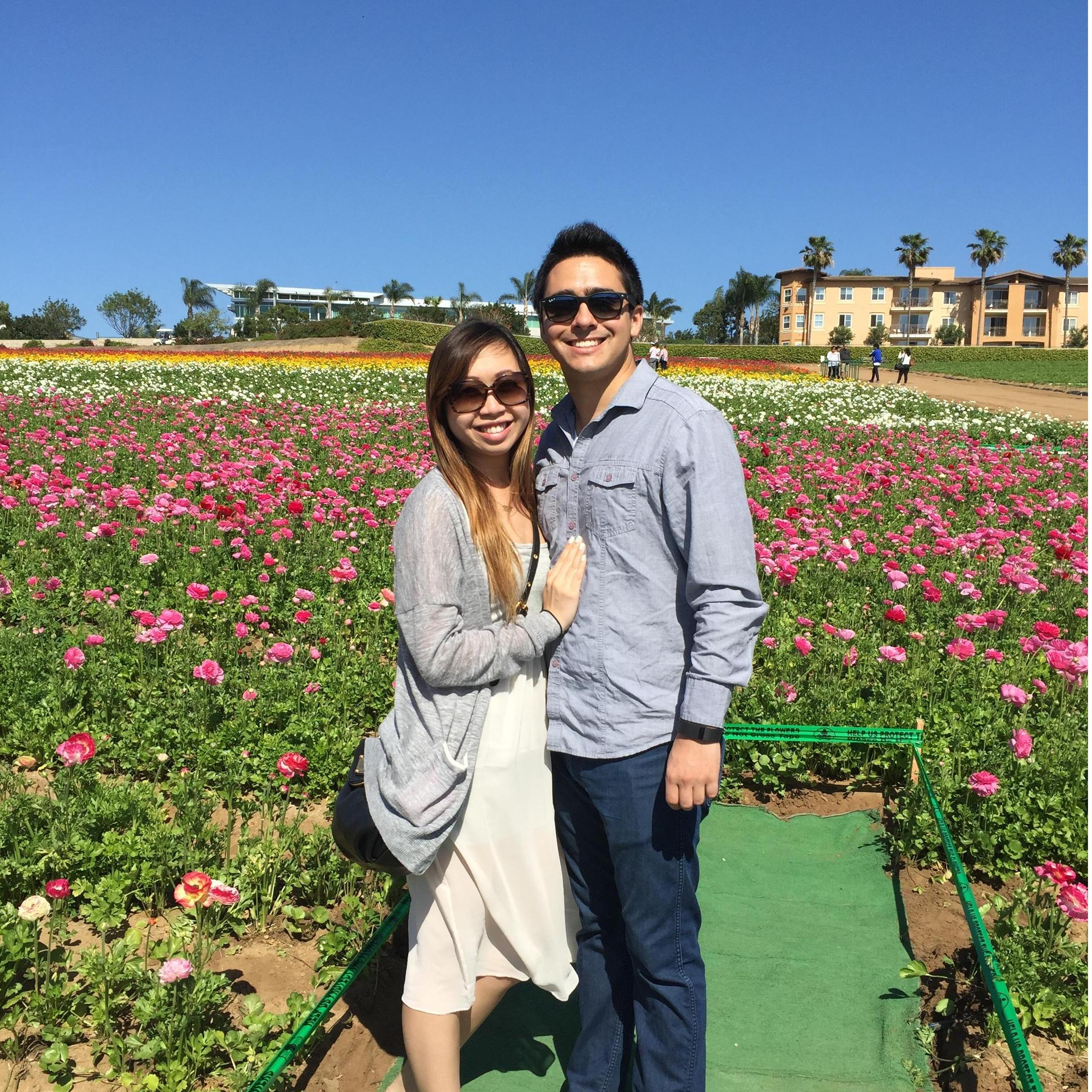 Exploring the Carlsbad flower fields