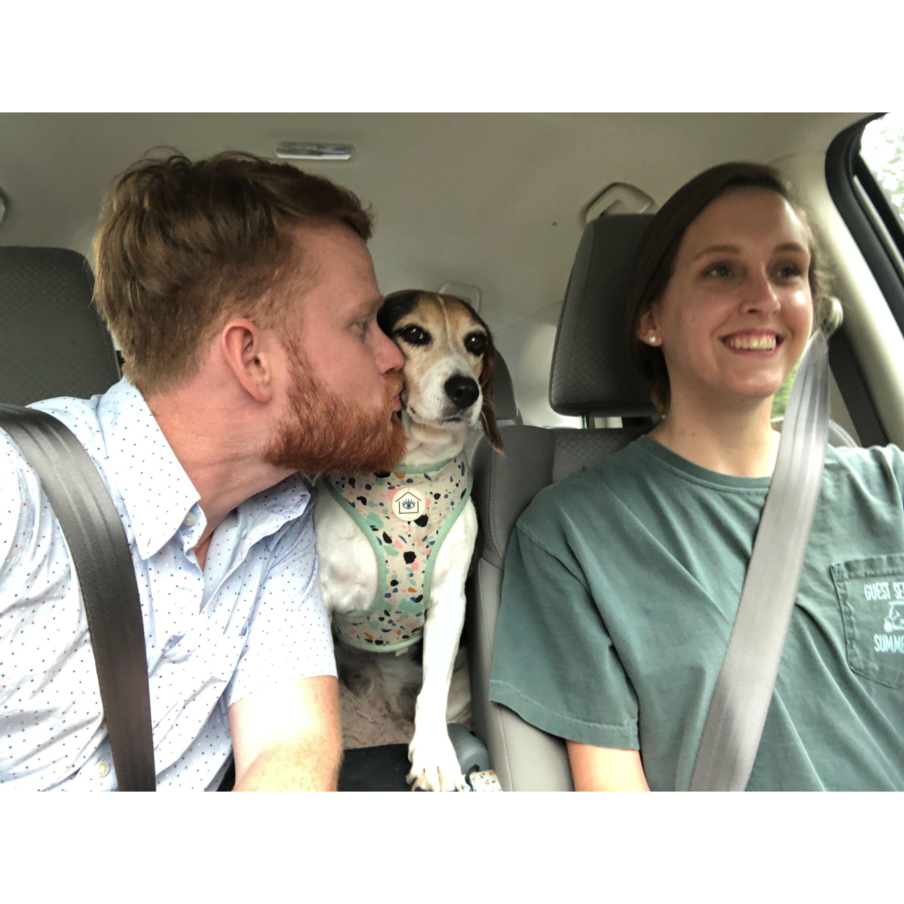 Taking a road trip to the beach with Bailey!