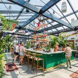 Somerset Bar