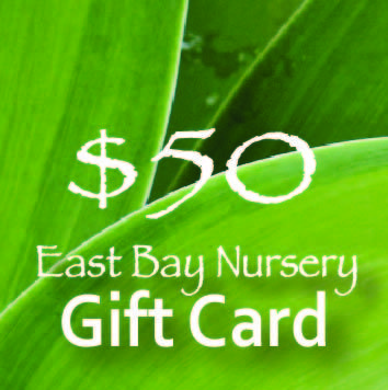 $50 Gift Card