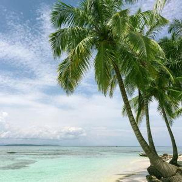 Honeymoon Extras