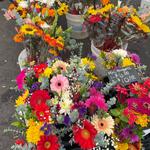 Hillcrest Farmers Market