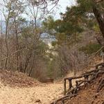 Mount Baldhead Park Trail