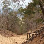 Mount Baldhead Park Trail