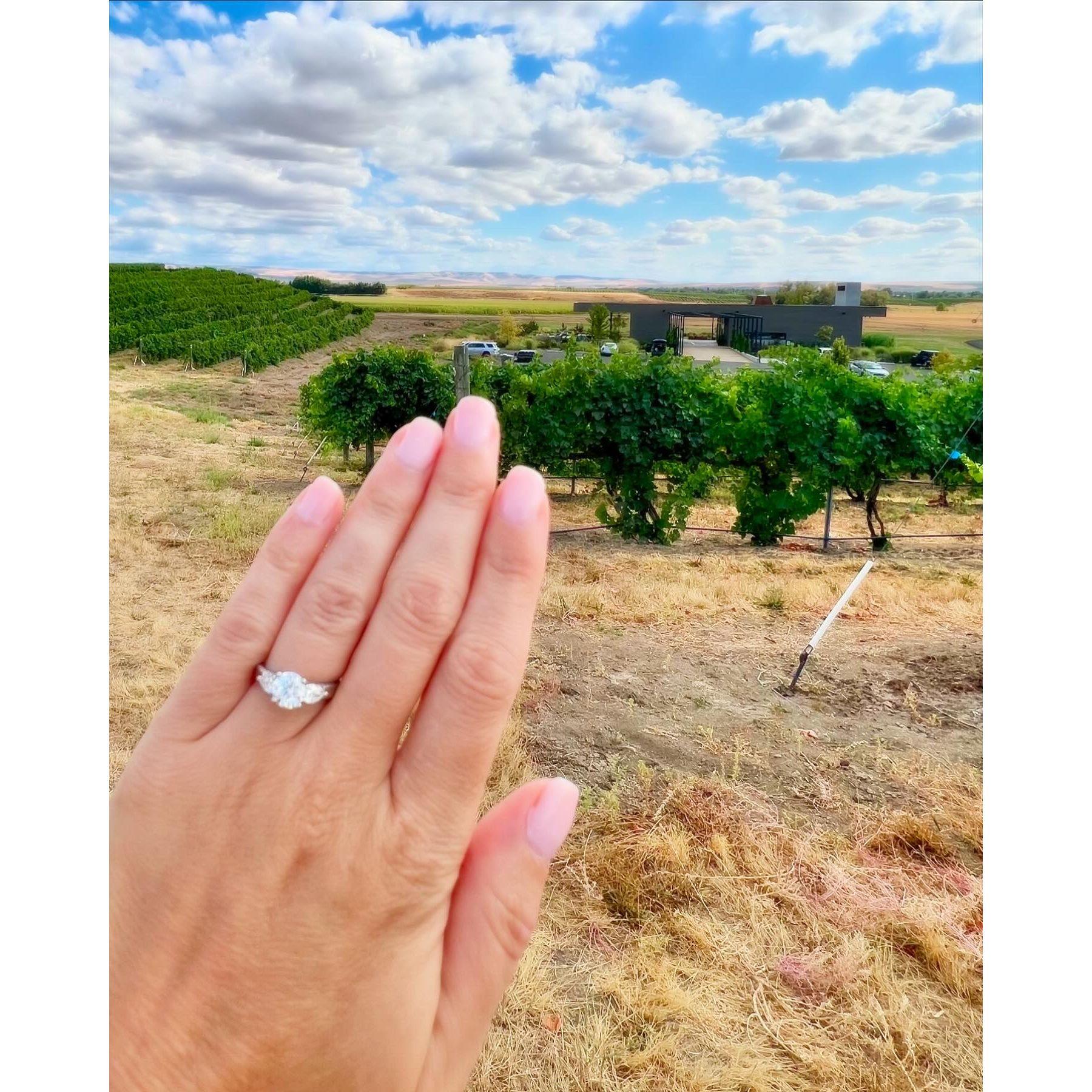 I said yes!